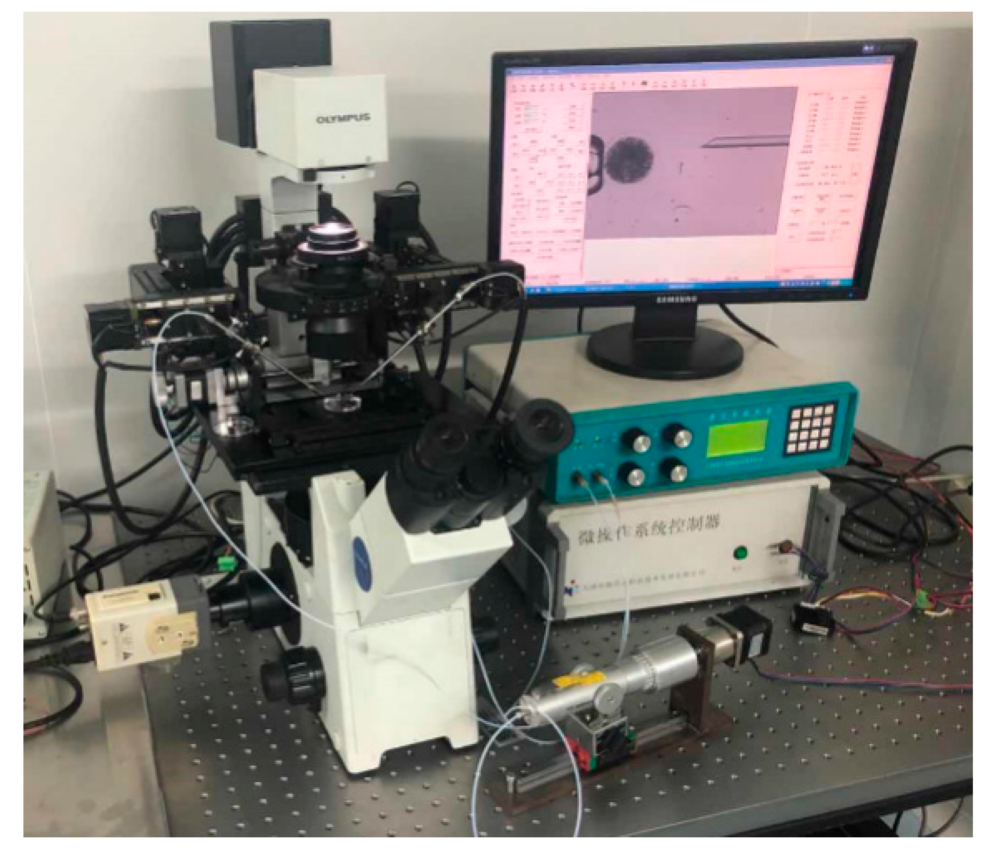 Sensors 21 05561 g002