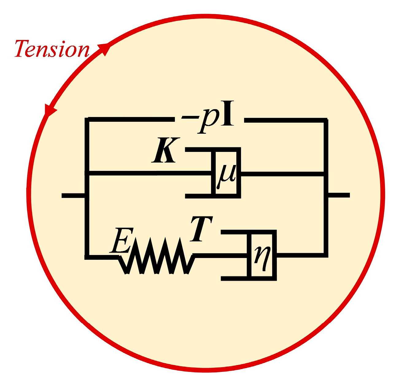 Sensors 21 05561 g005