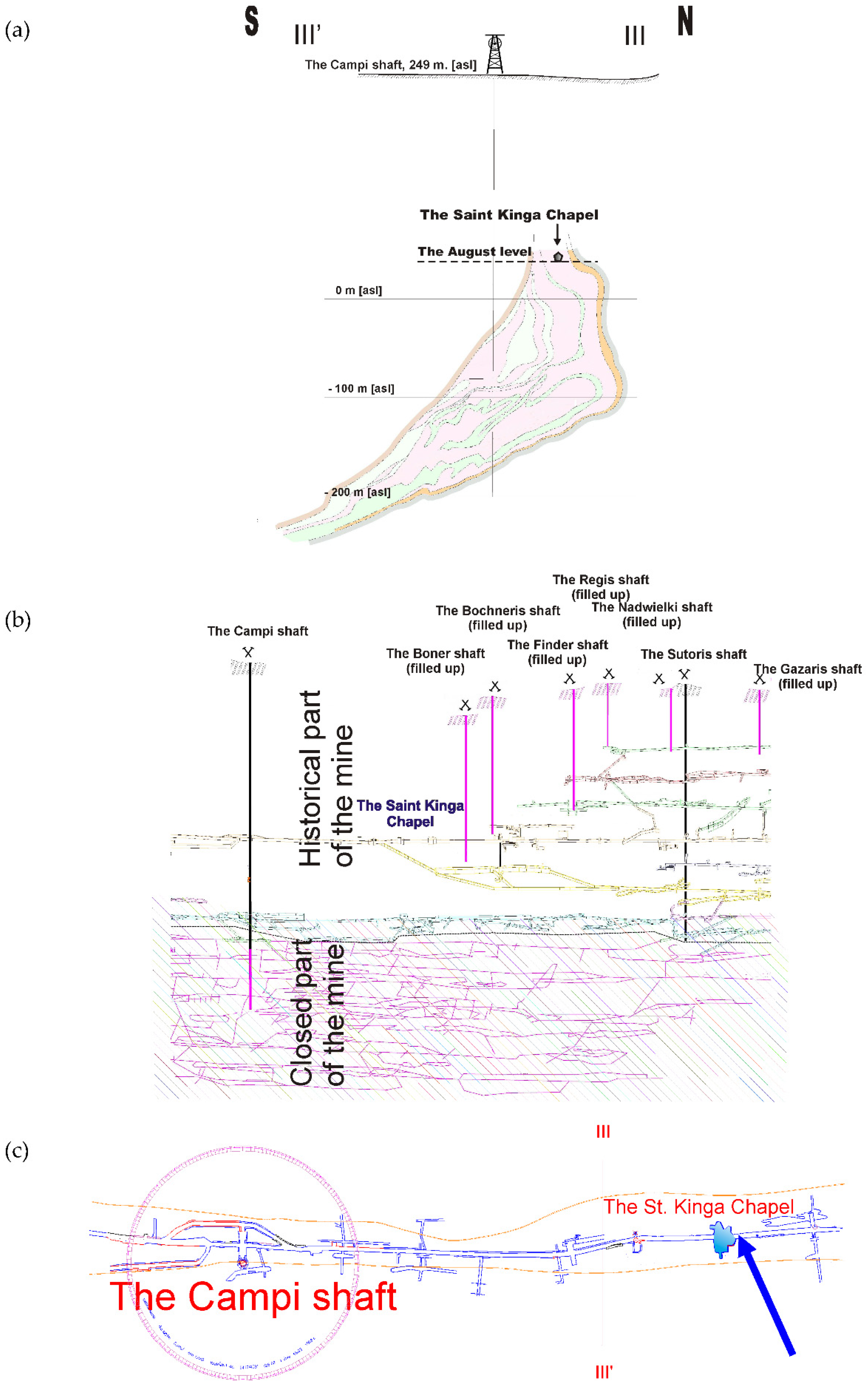 Sensors 21 05562 g002