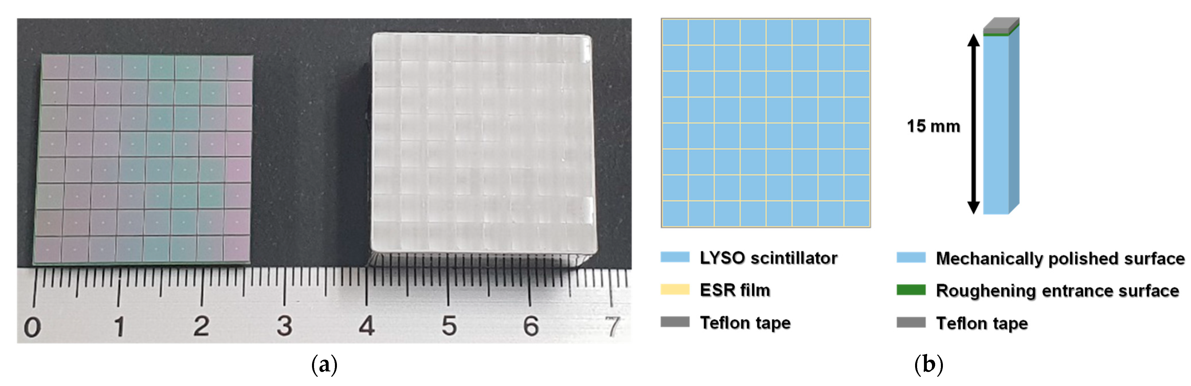 Sensors 21 05566 g002 Sensors 21 05566 g002