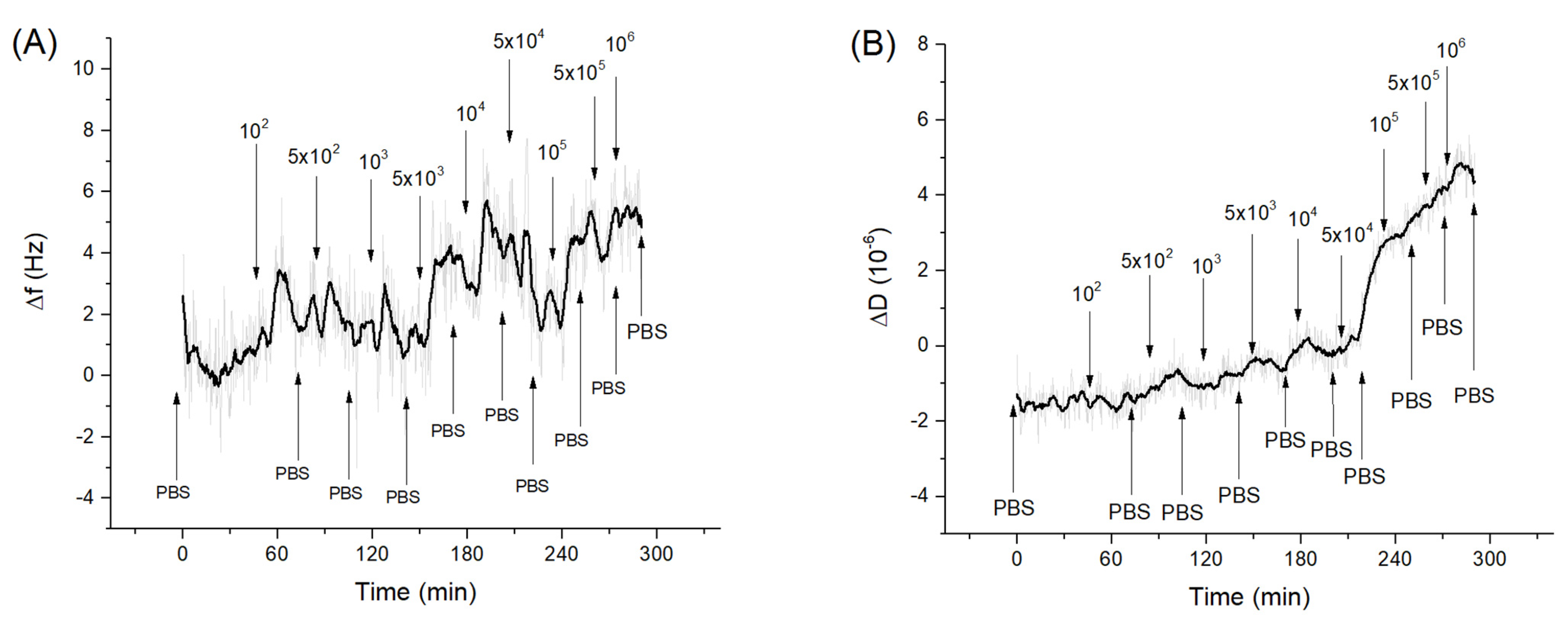 Sensors 21 05585 g004