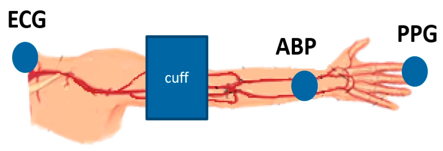 Sensors 21 05593 g001
