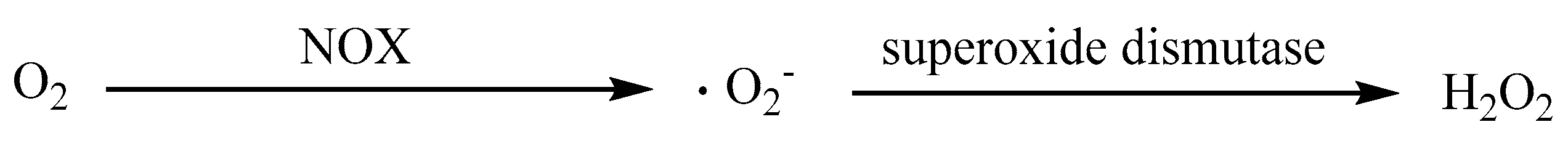 Sensors 21 05607 g001