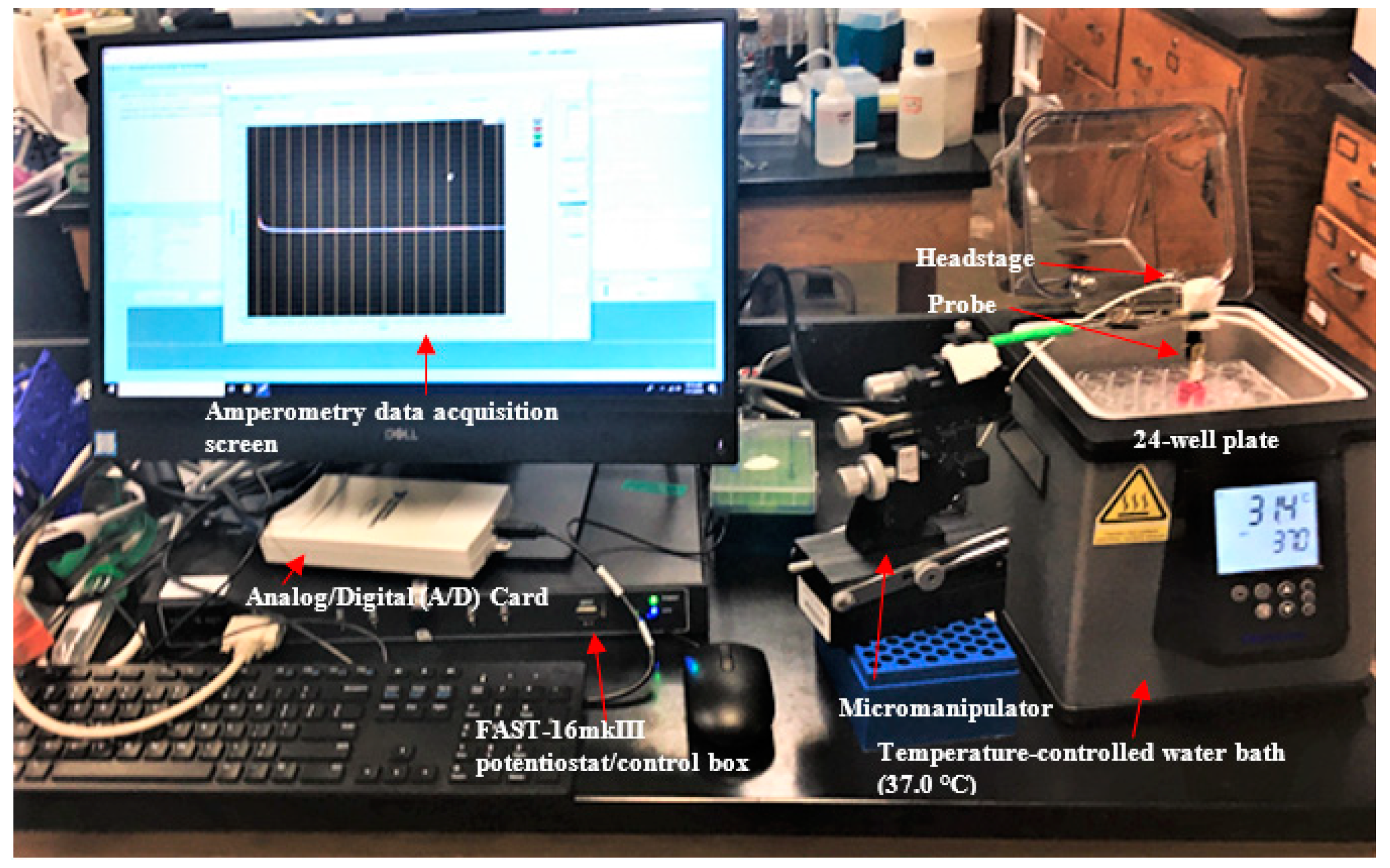 Sensors 21 05607 g004