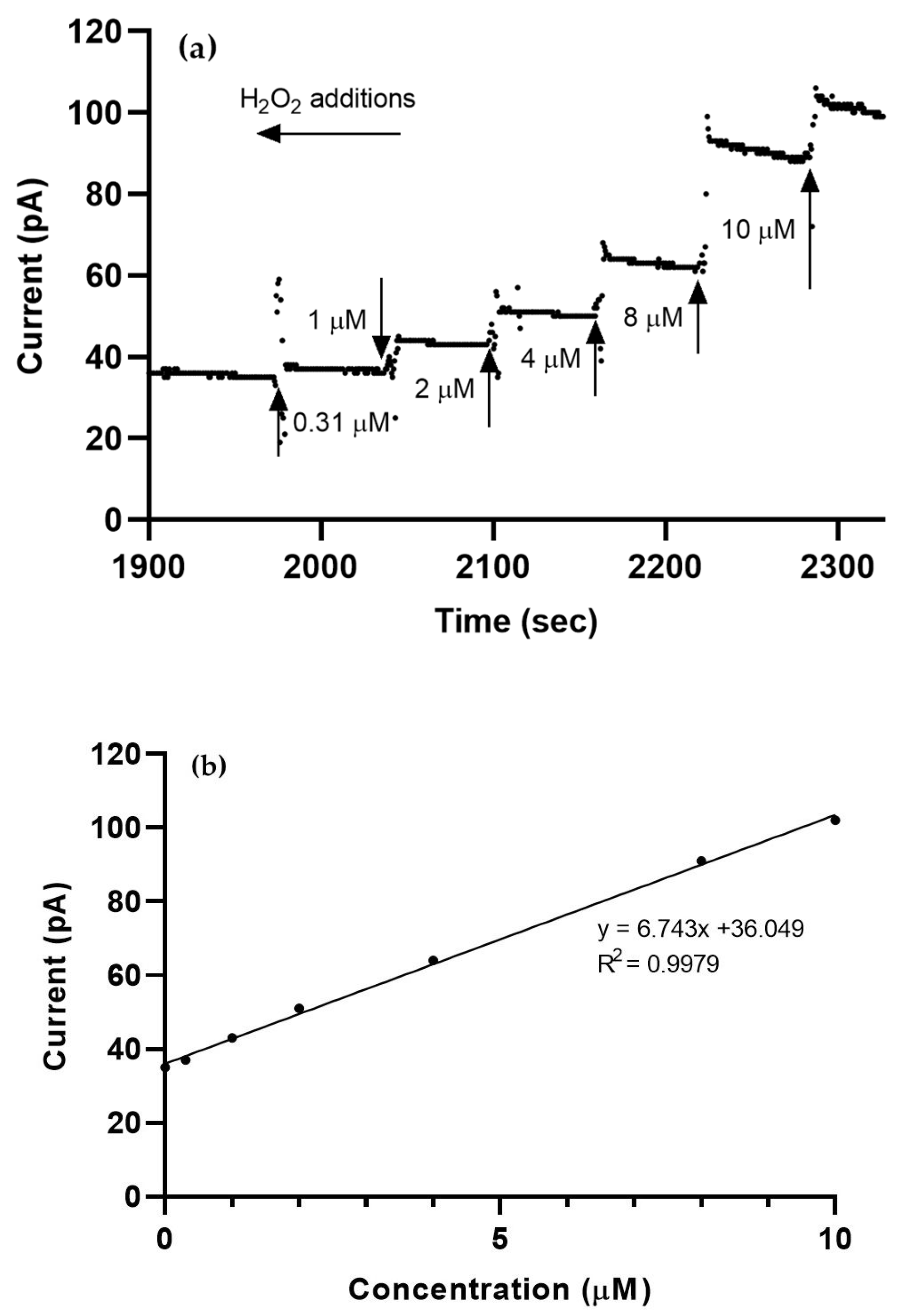 Sensors 21 05607 g005