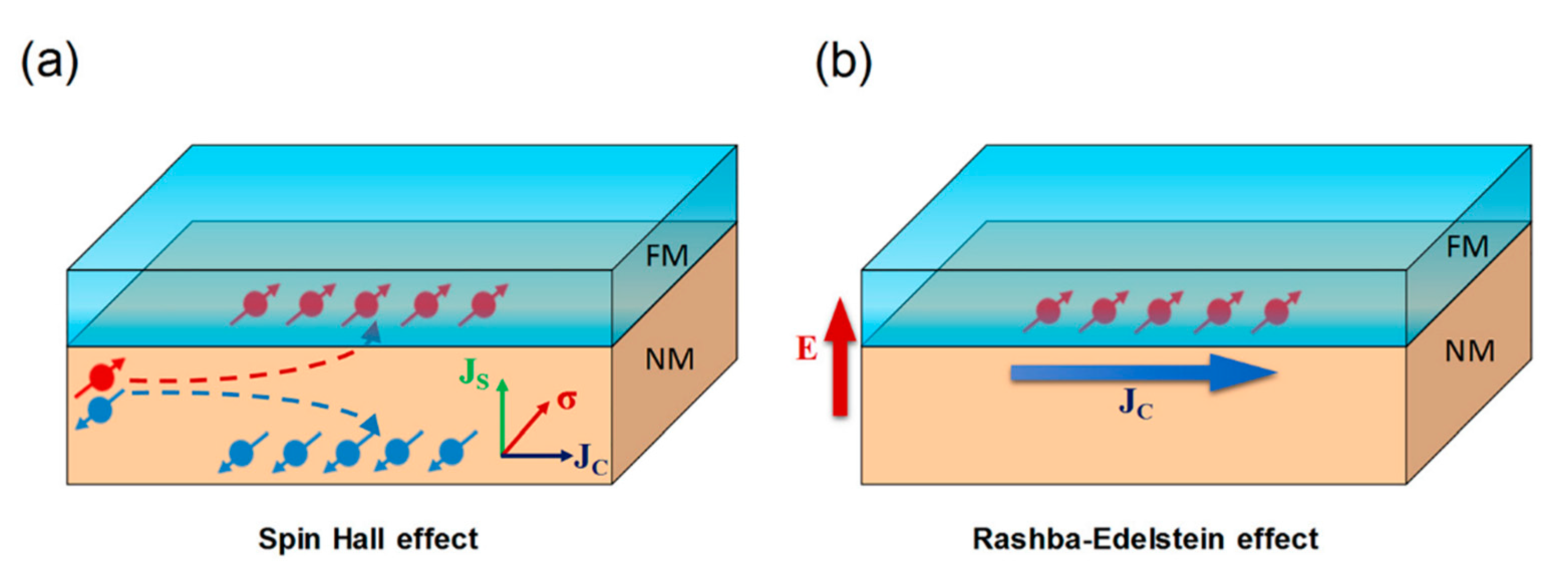 Sensors 21 05615 g008