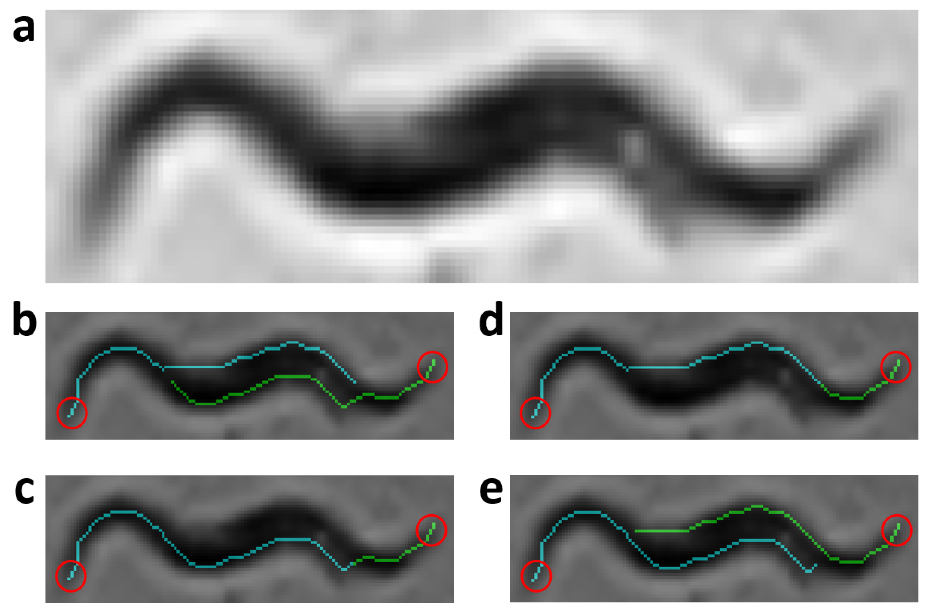 Sensors 21 05622 g003