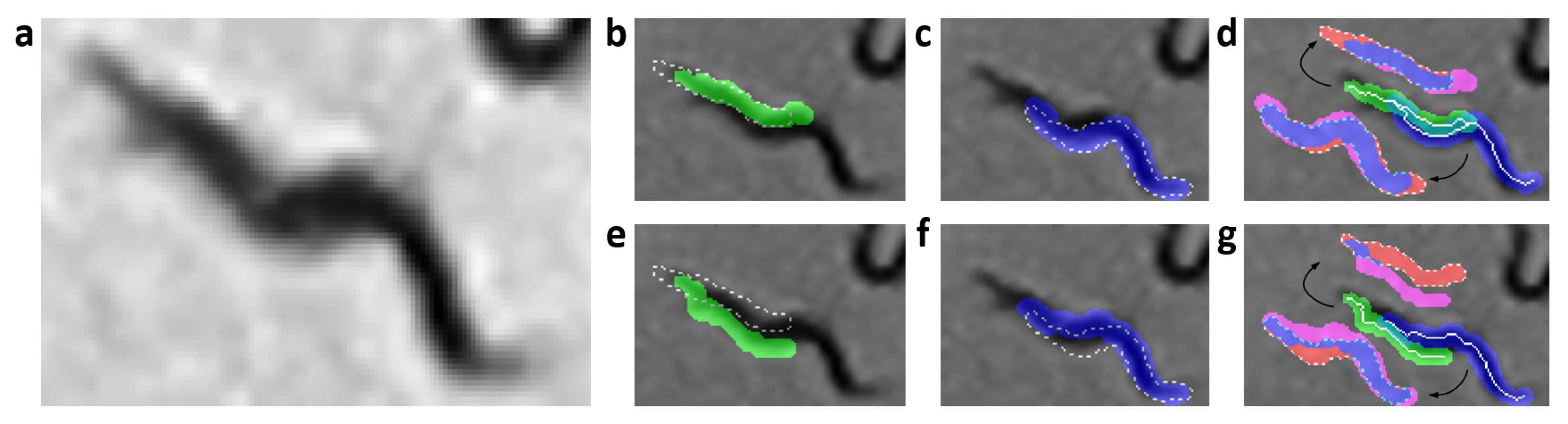 Sensors 21 05622 g005