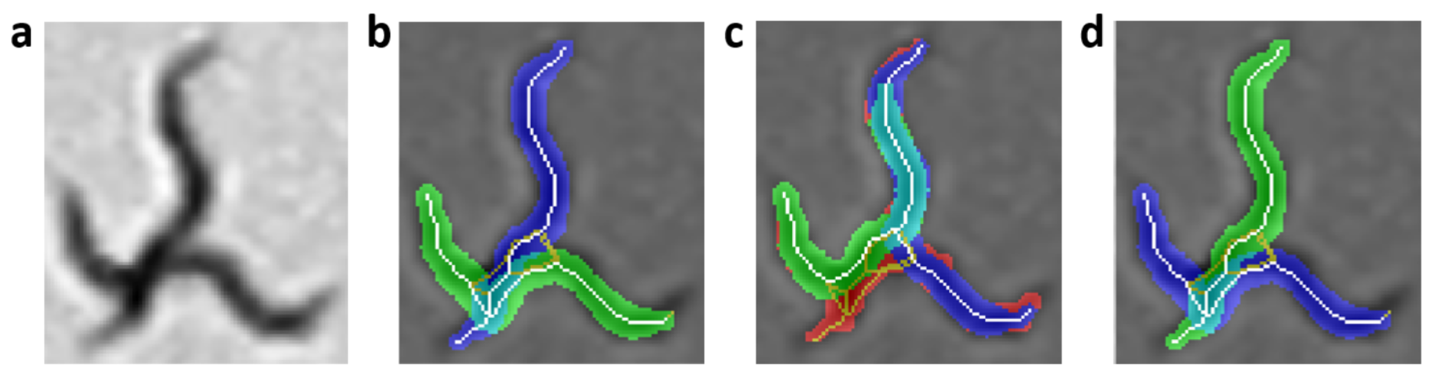 Sensors 21 05622 g006