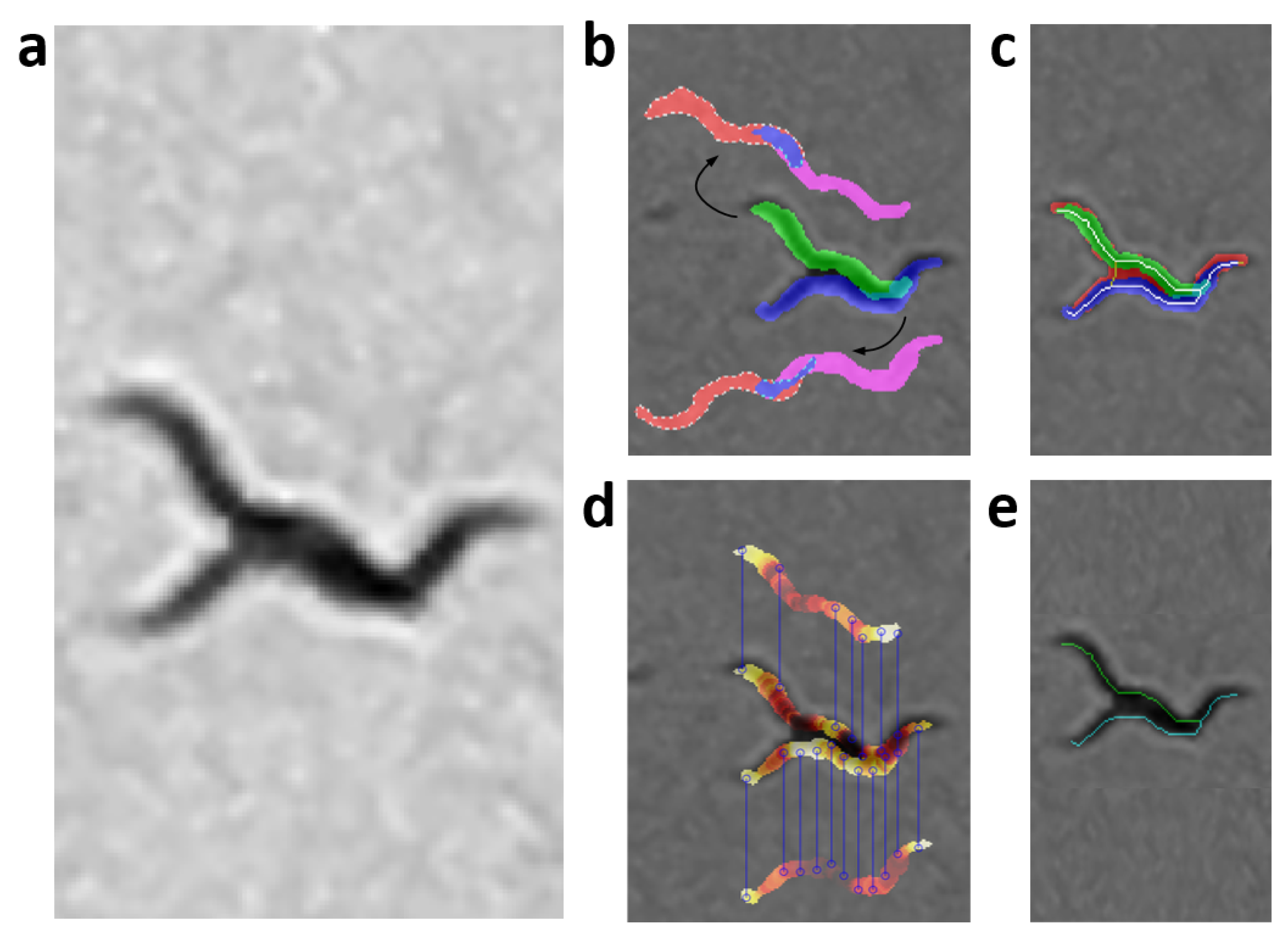 Sensors 21 05622 g011