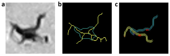 Sensors 21 05622 g0a10 550