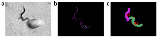 Sensors 21 05622 g0a11 550