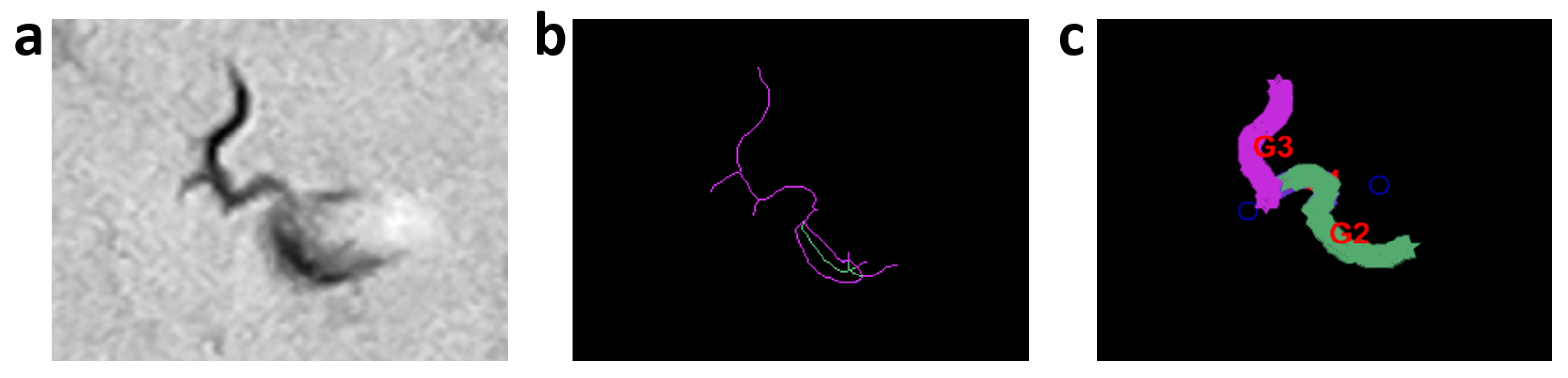 Sensors 21 05622 g0a11