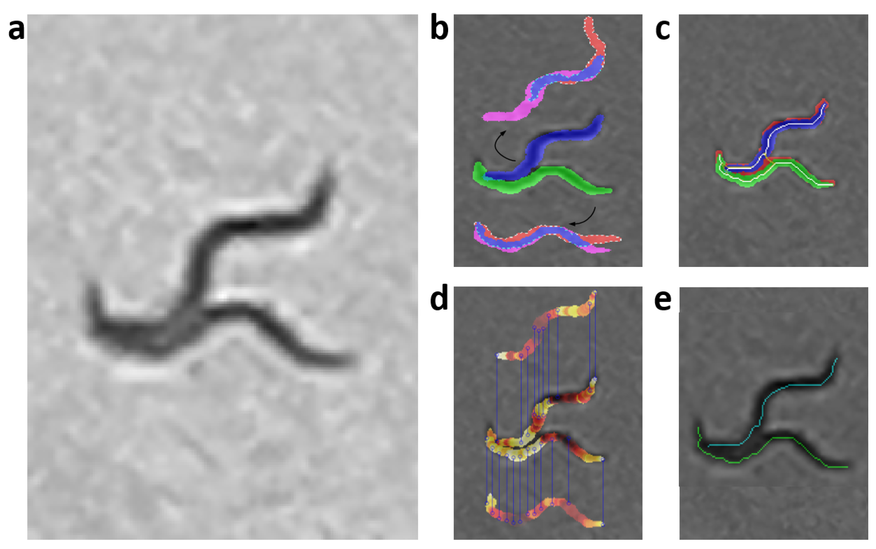 Sensors 21 05622 g0a7