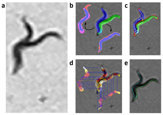 Sensors 21 05622 g0a8 550