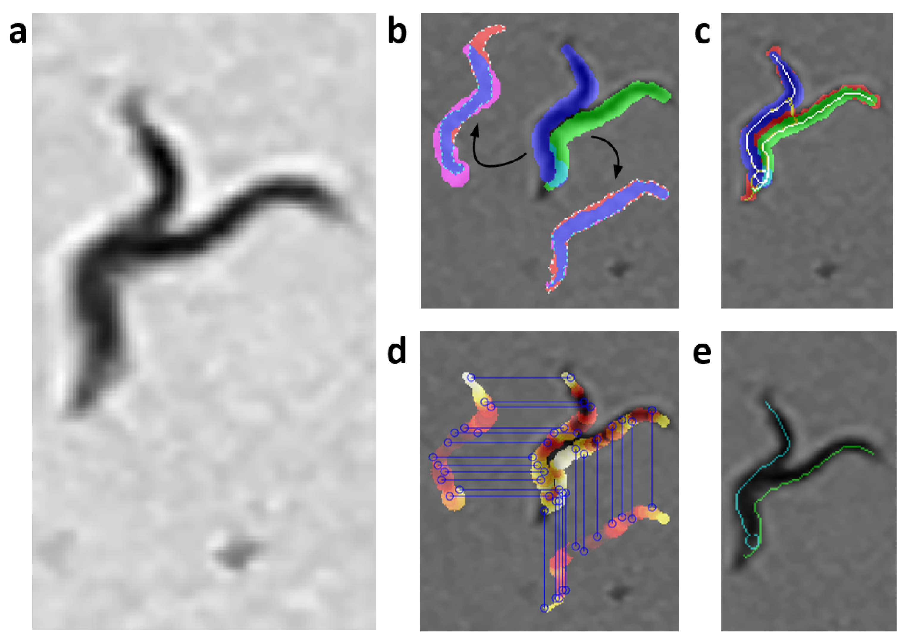 Sensors 21 05622 g0a8
