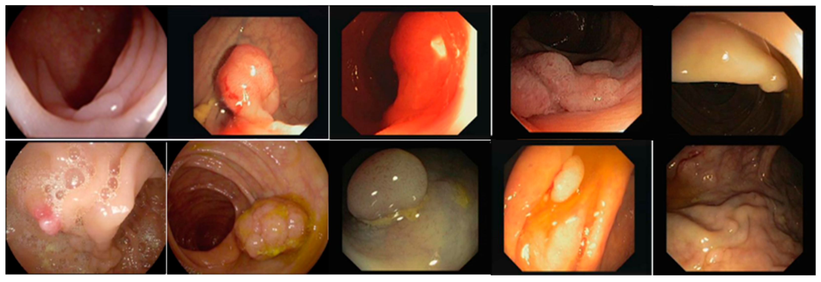 Sensors 21 05630 g0a1