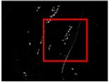 Sensors 21 05630 i004