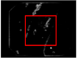 Sensors 21 05630 i005