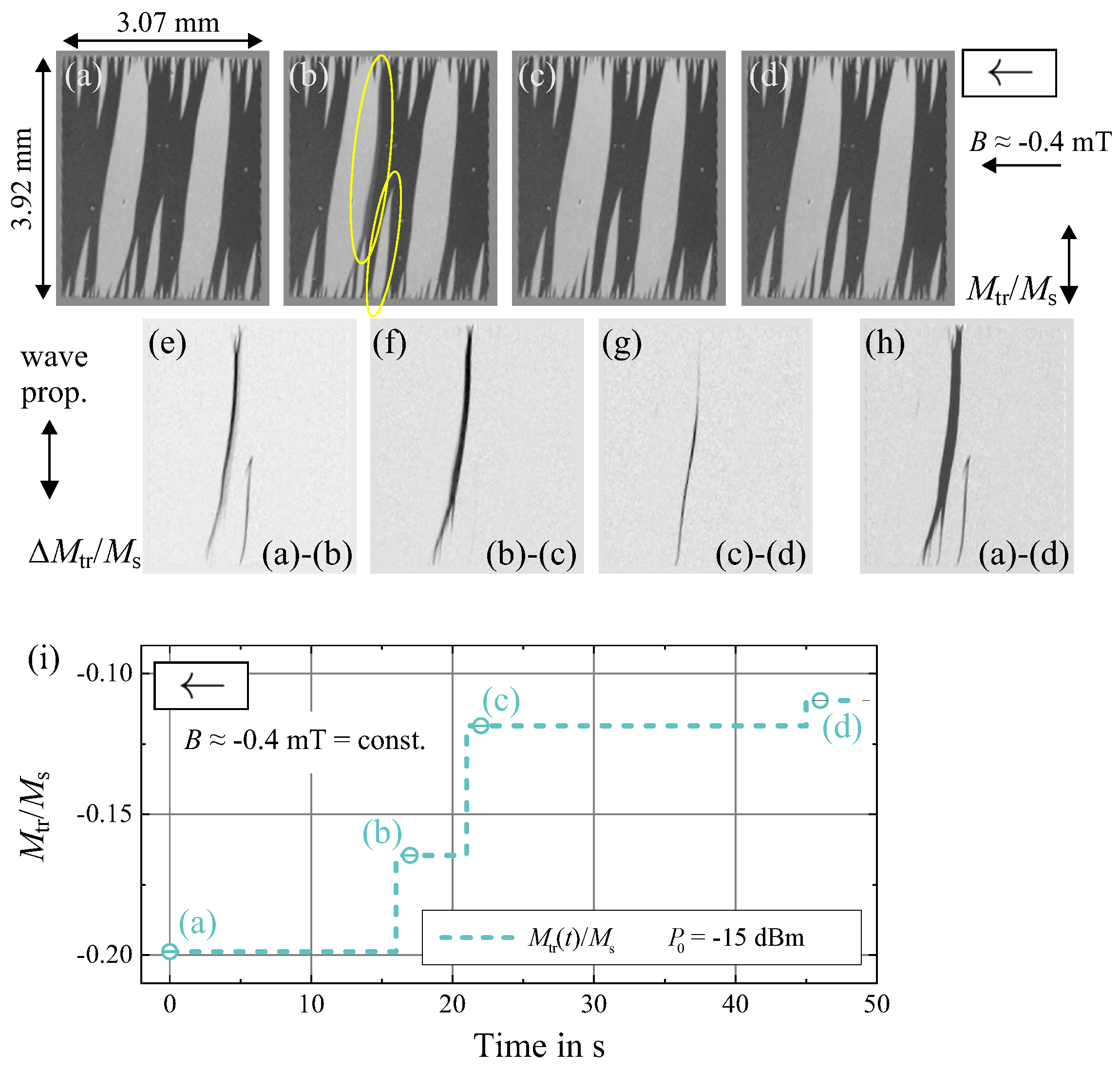 Sensors 21 05631 g017 Sensors 21 05631 g017