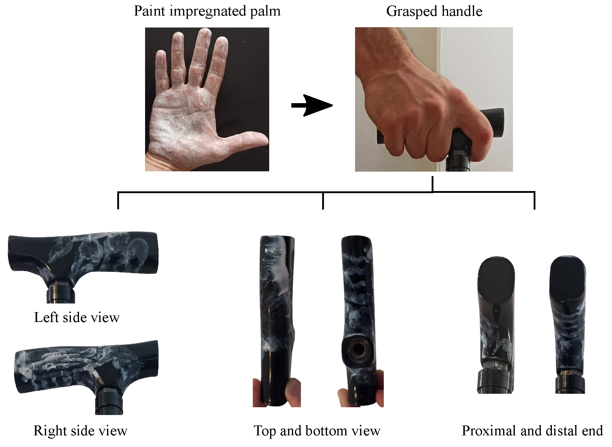 Sensors 21 05632 g001