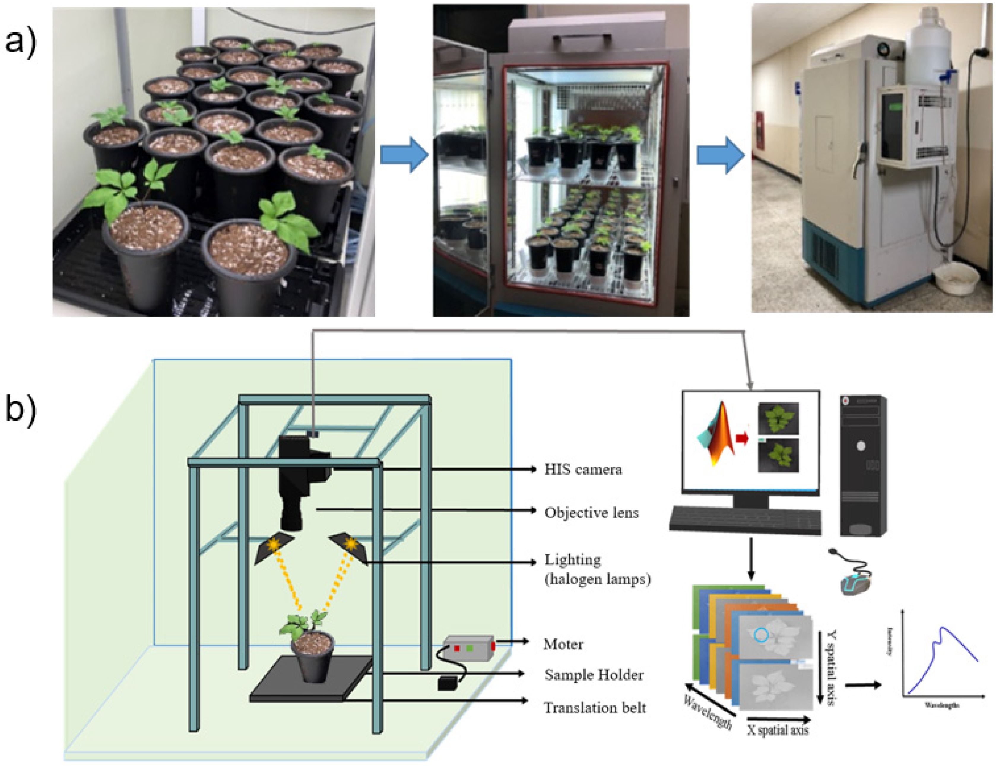 Sensors 21 05634 g001