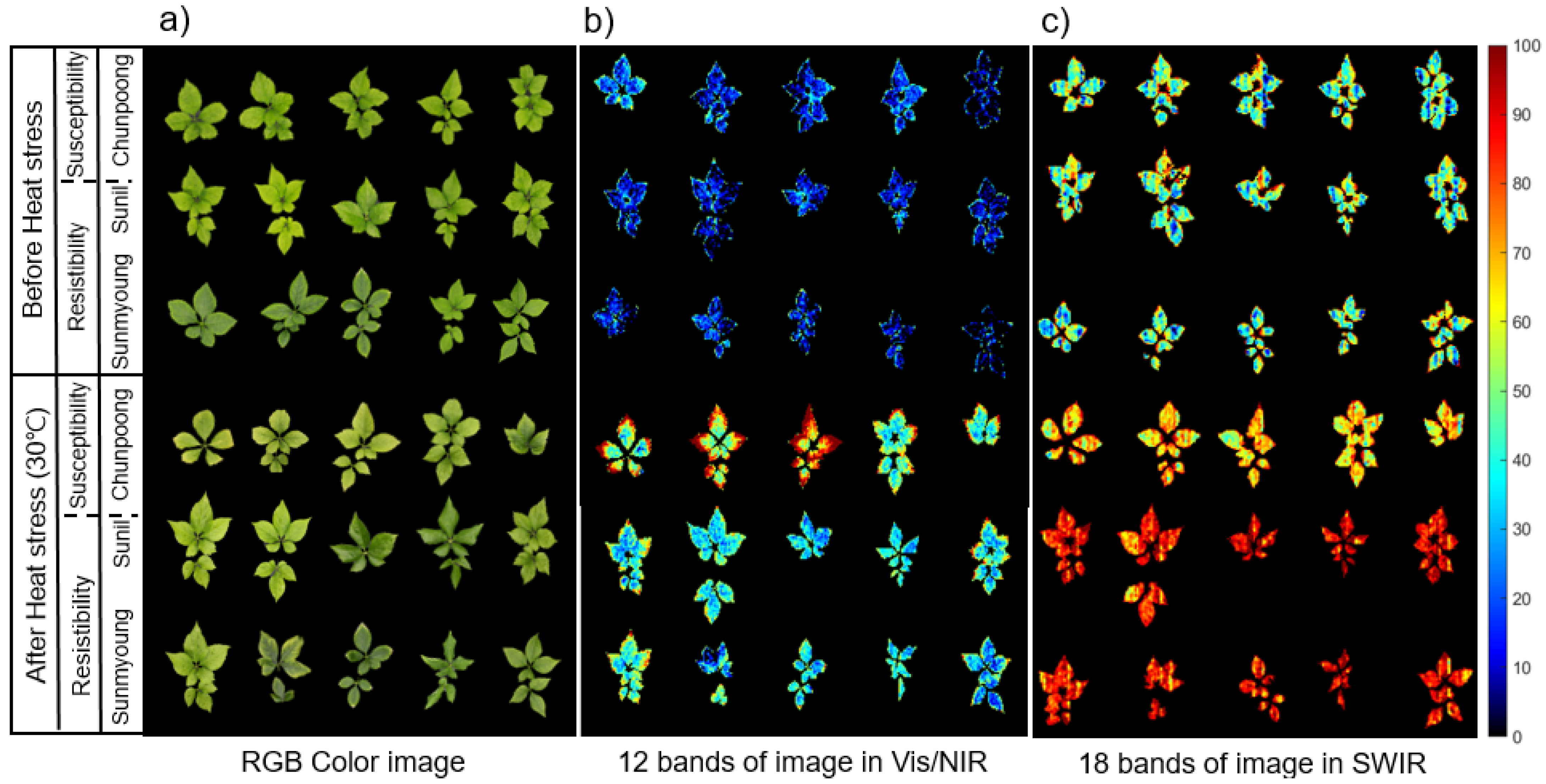 Sensors 21 05634 g006