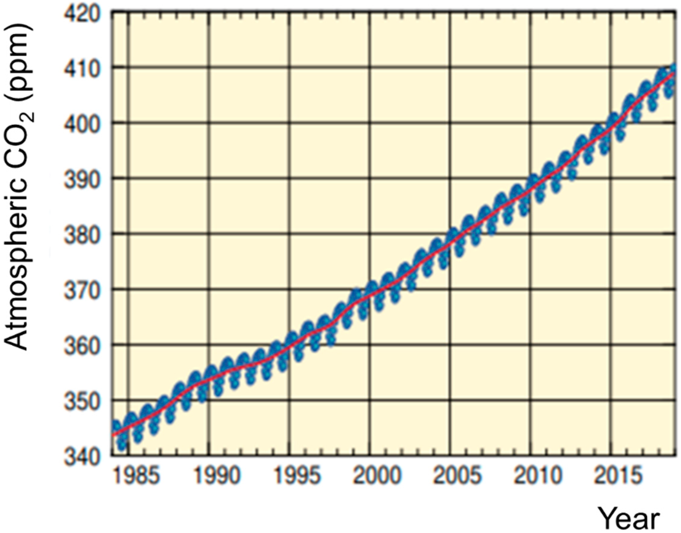 Sensors 21 05636 g001