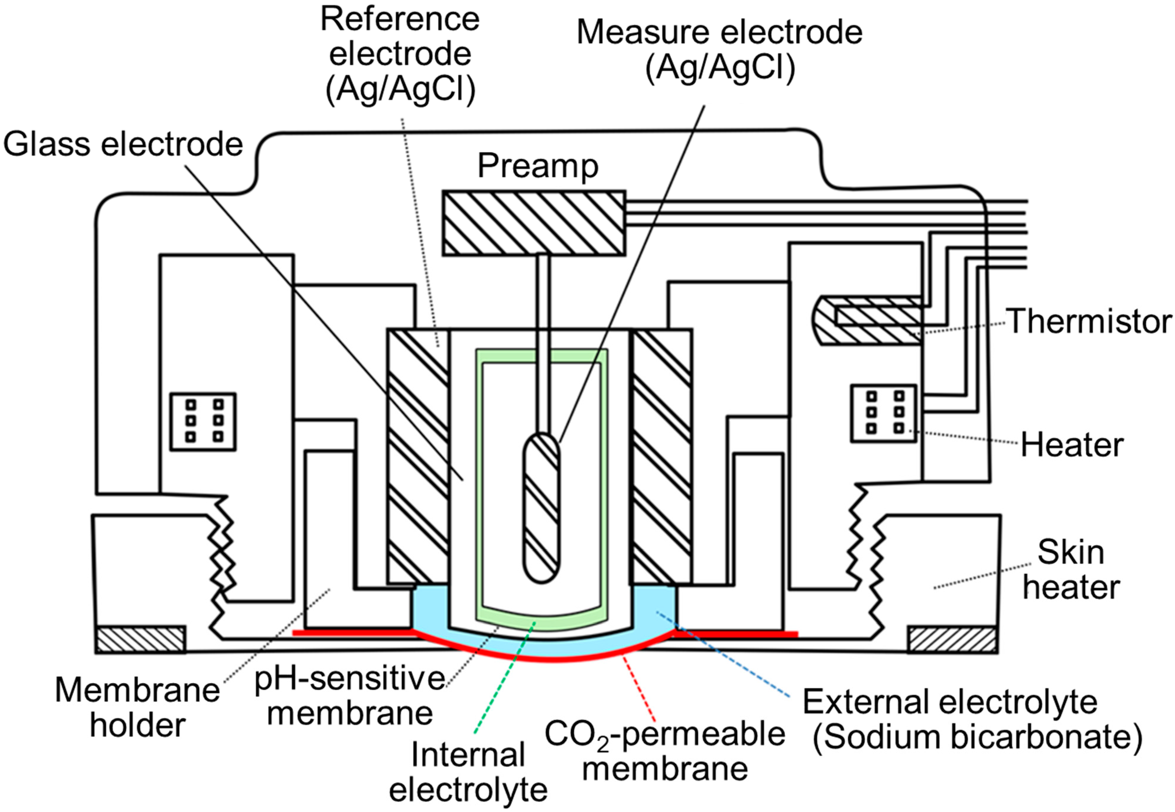 Sensors 21 05636 g007