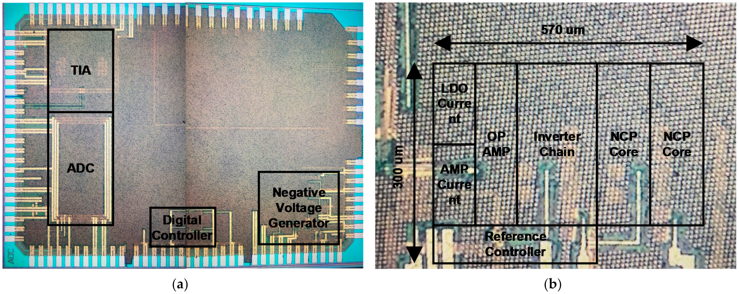 Sensors 21 05637 g022