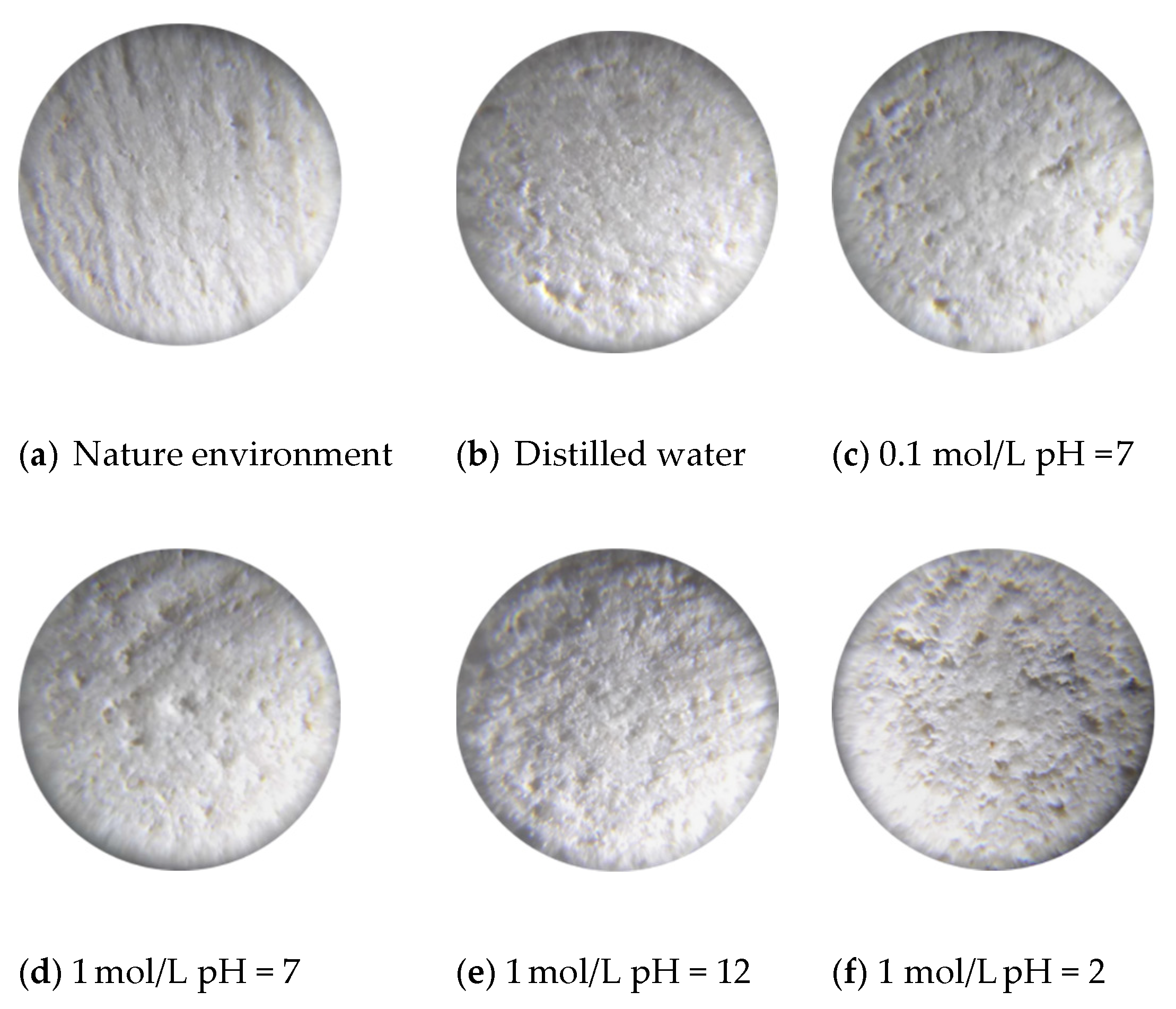 Sensors 21 05641 g005