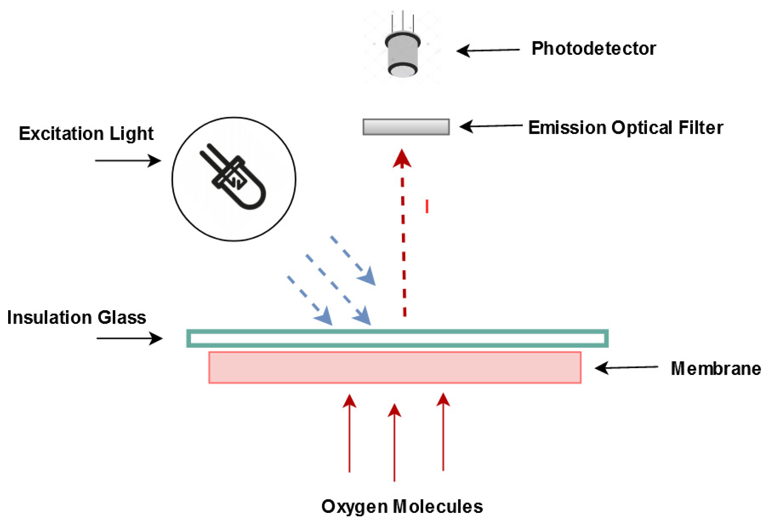 Sensors 21 05645 g001