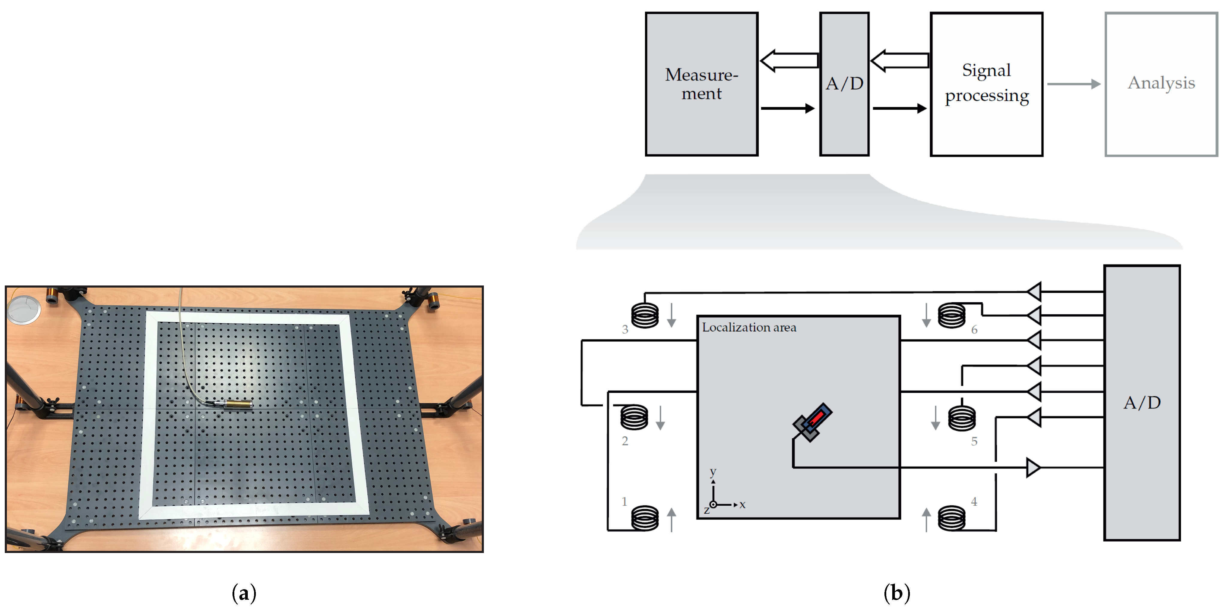 Sensors 21 05675 g003