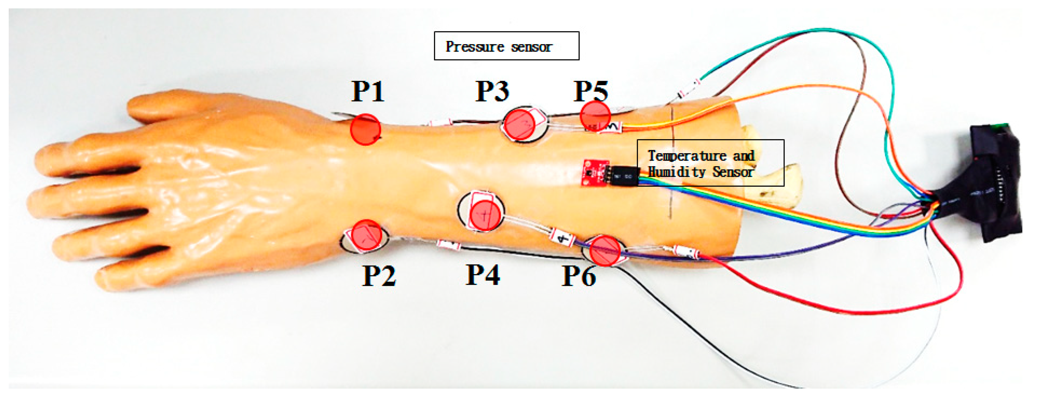 Sensors 21 05681 g003