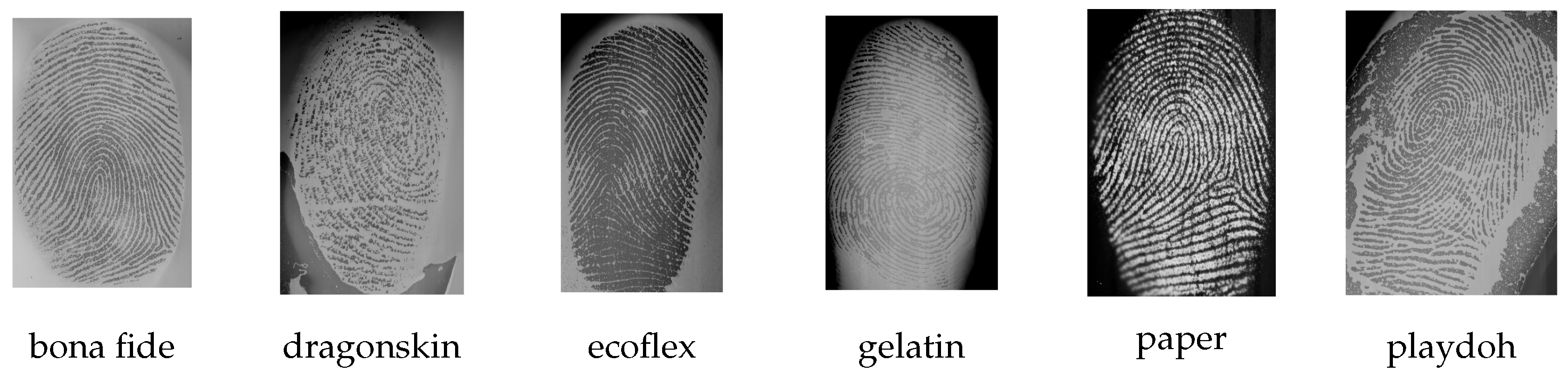 Sensors 21 05686 g002