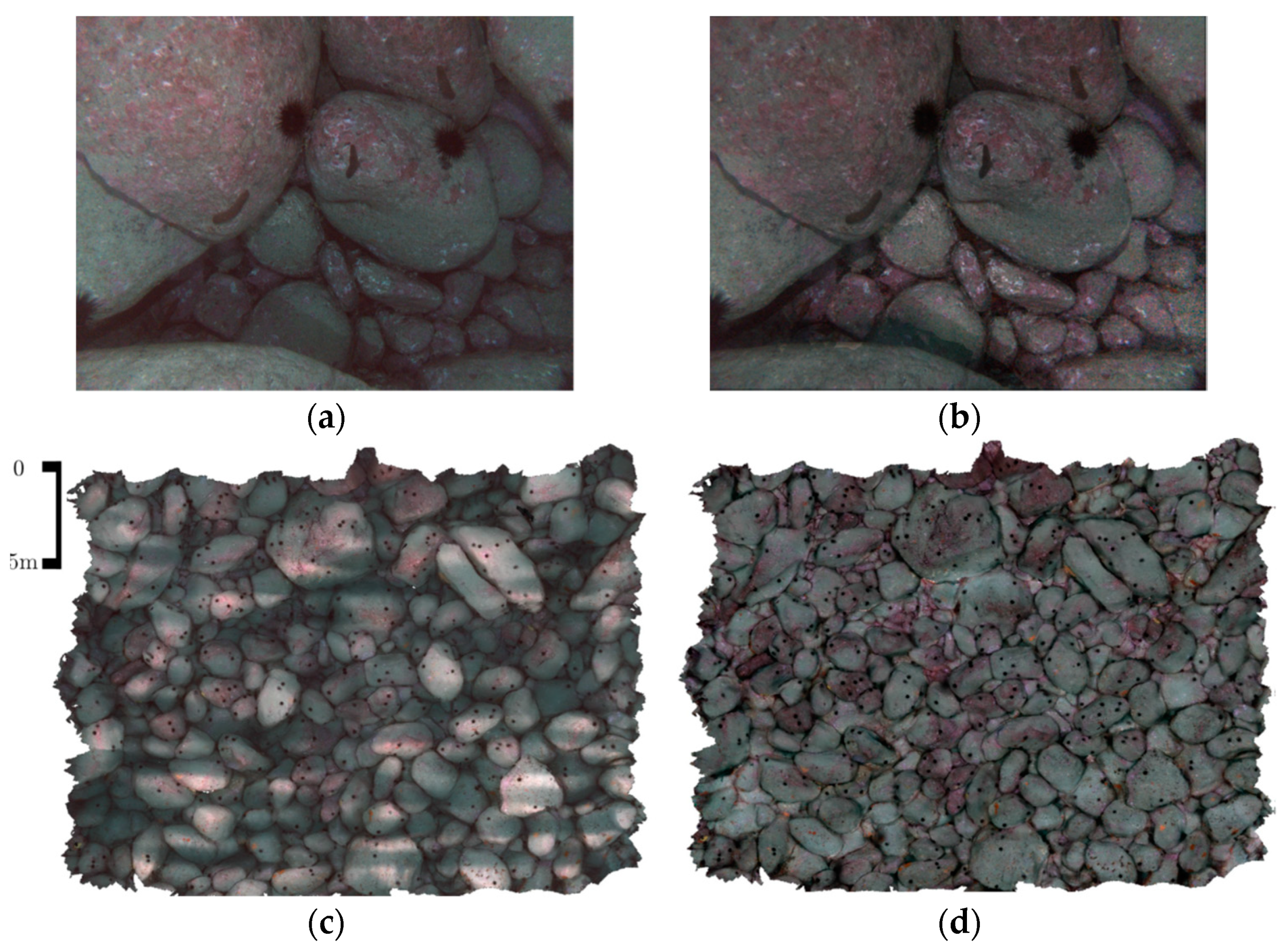 Sensors 21 05690 g004