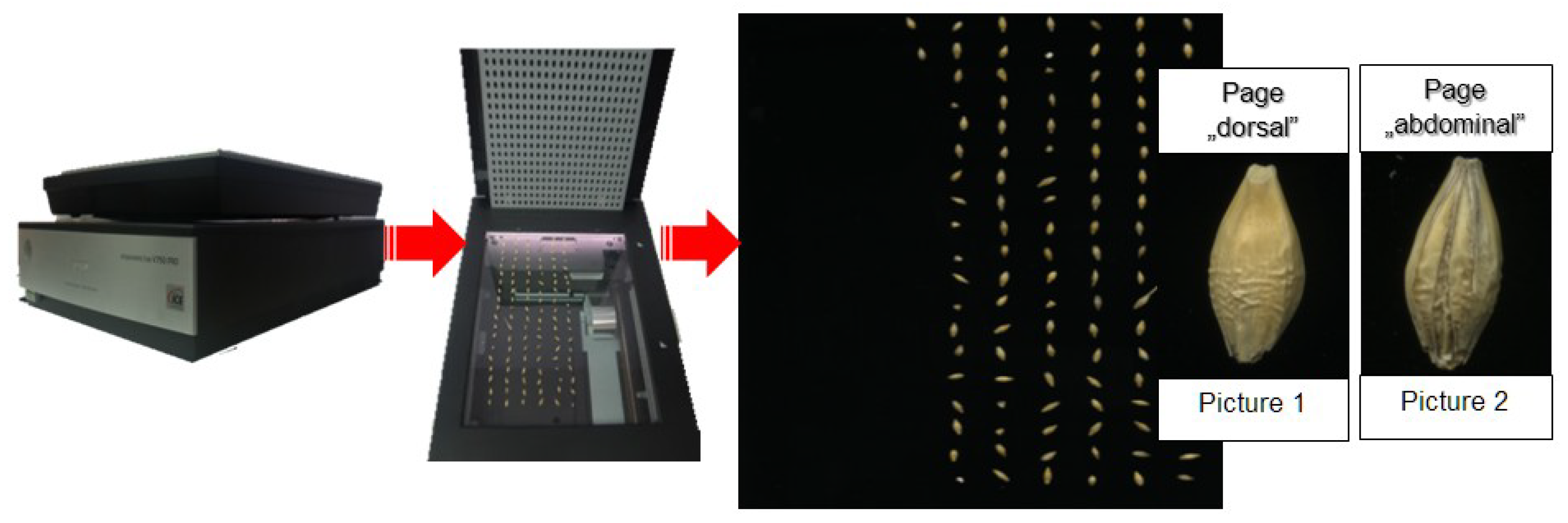 Sensors 21 05696 g002