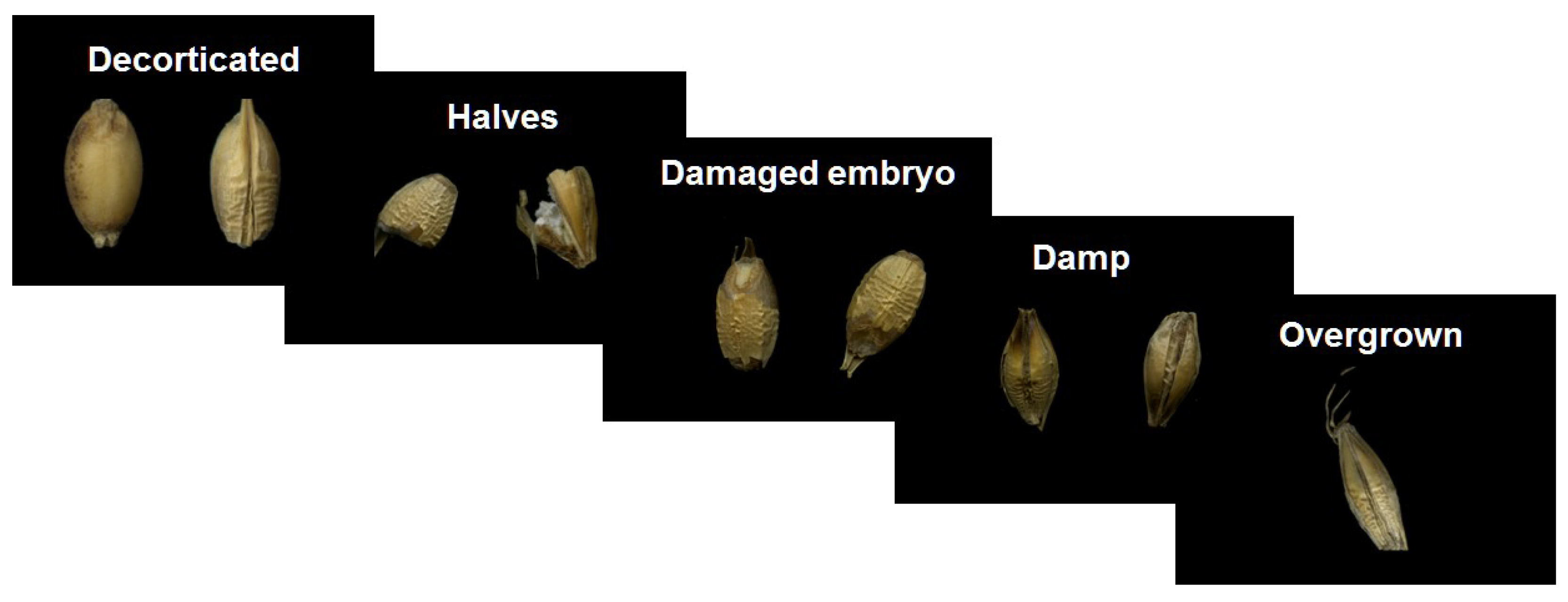 Sensors 21 05696 g004