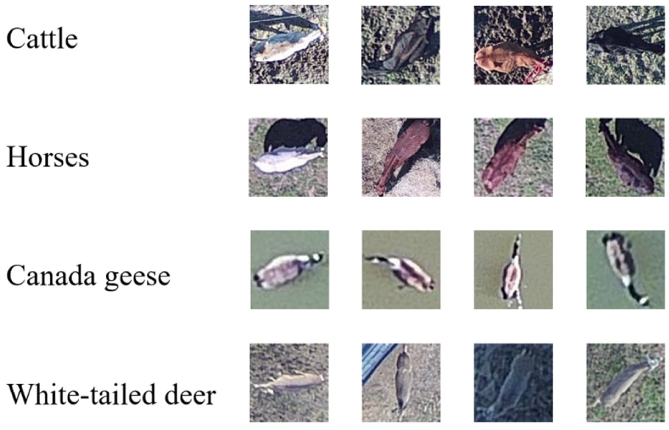 Sensors 21 05697 g003