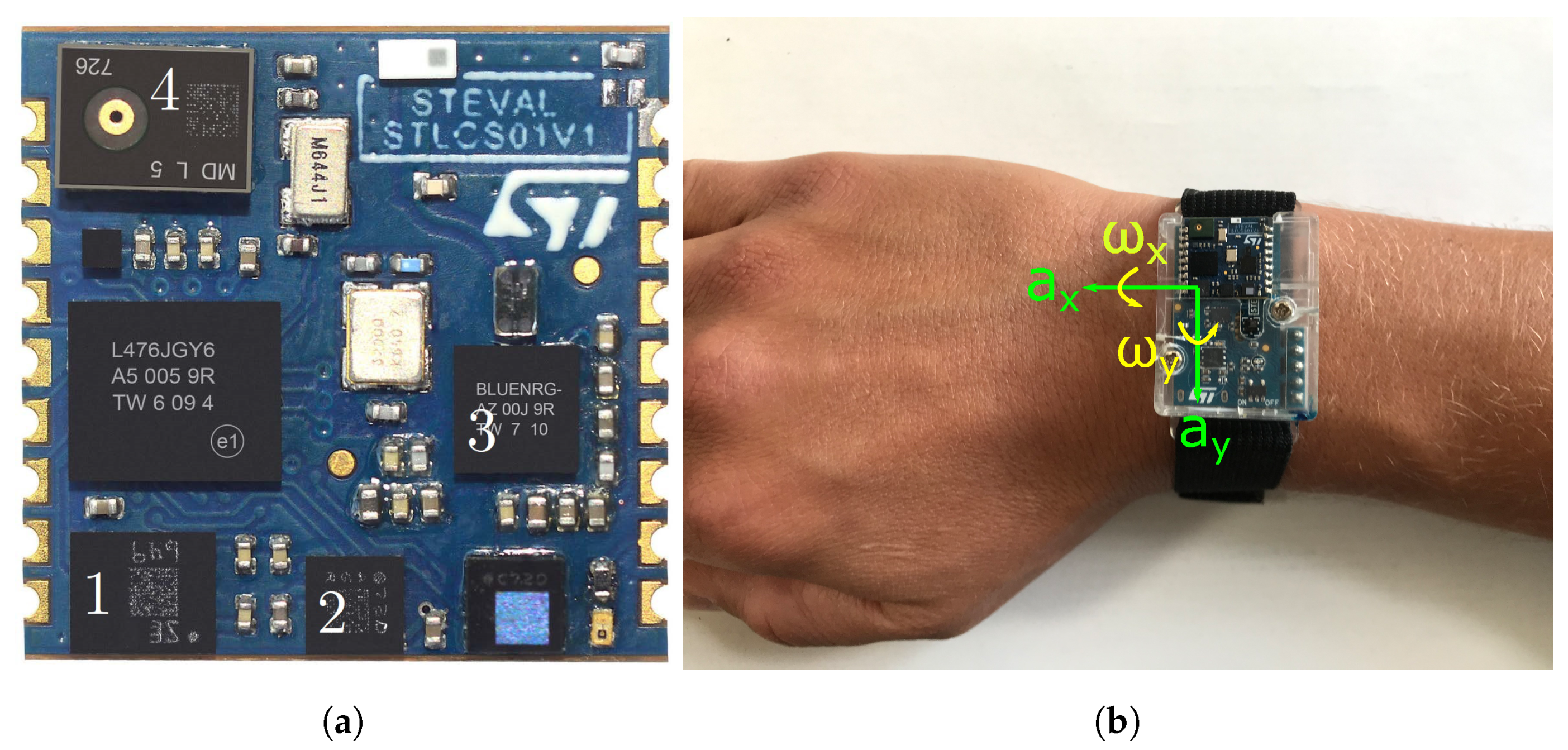 Sensors 21 05703 g002