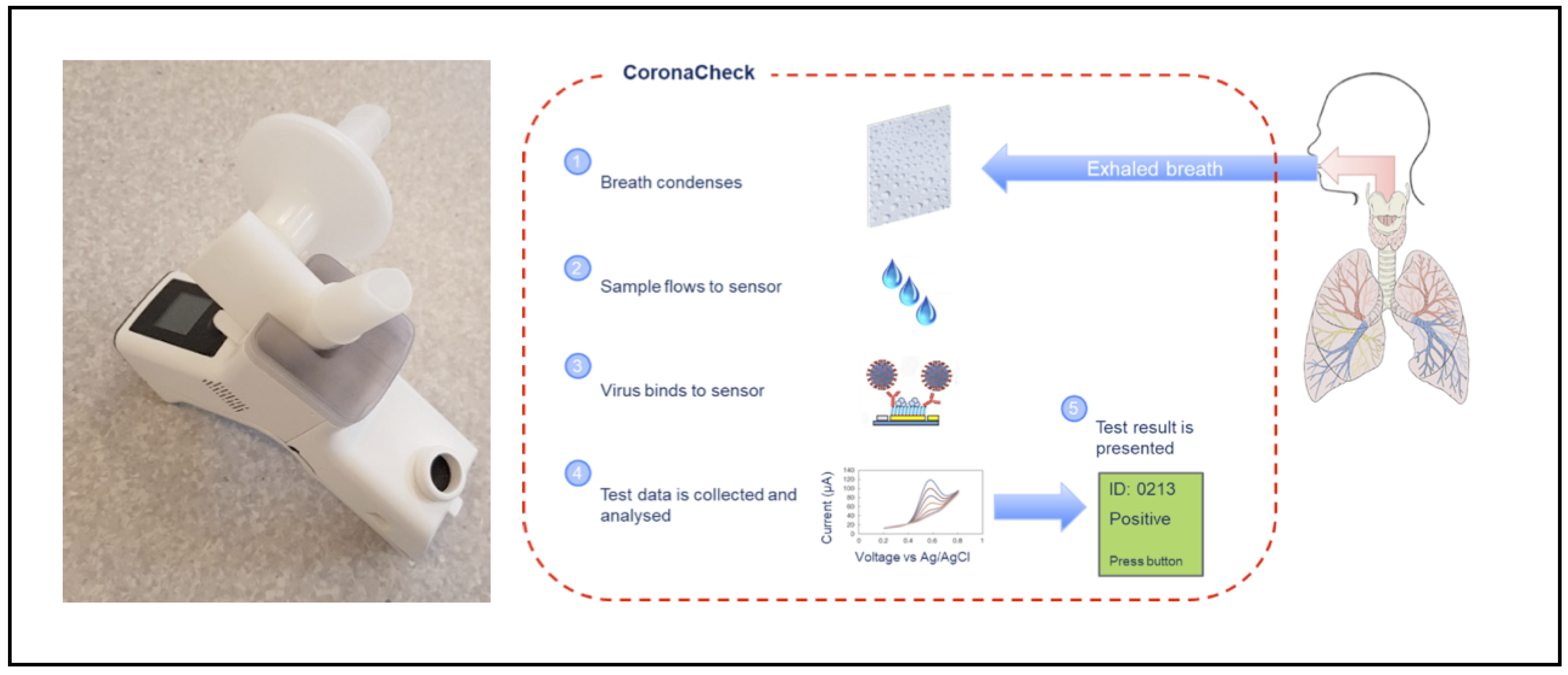 Sensors 21 05710 g001