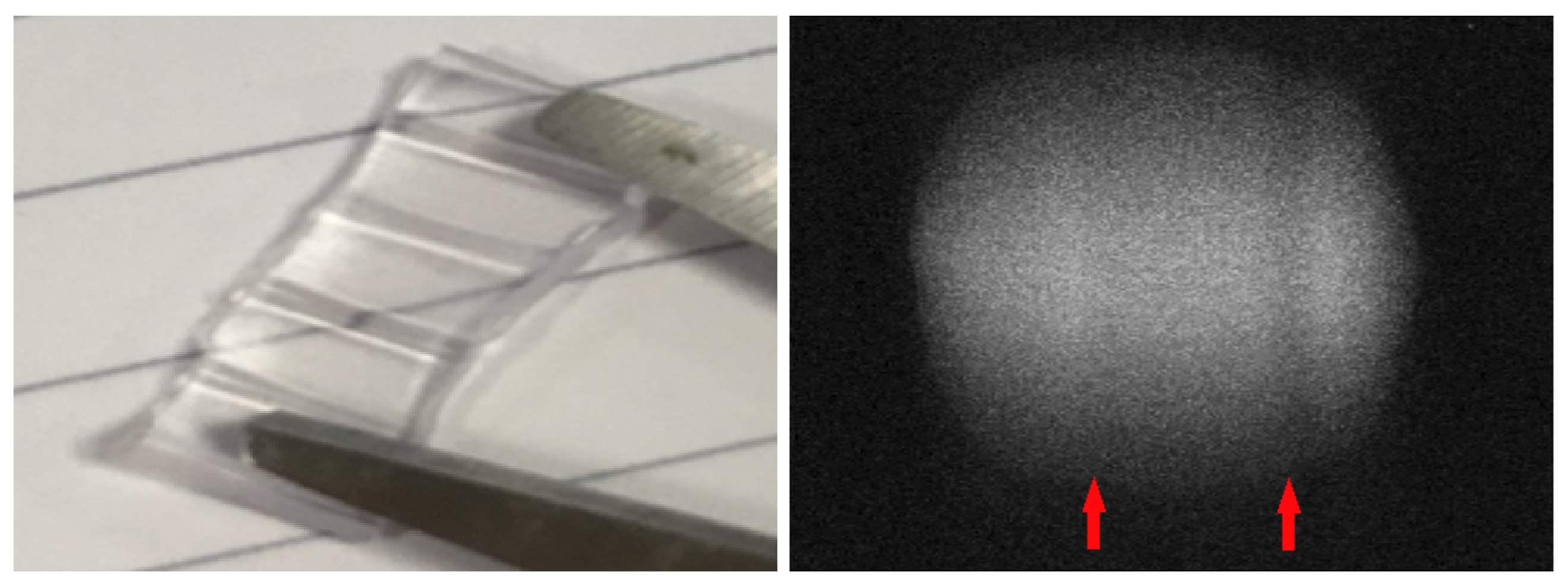 Sensors 21 05723 g003