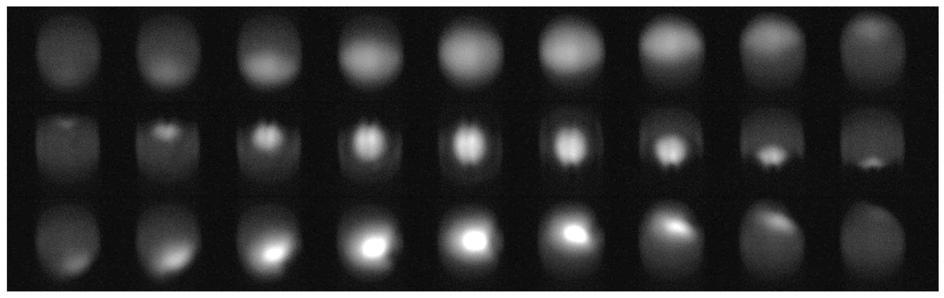 Sensors 21 05723 g005