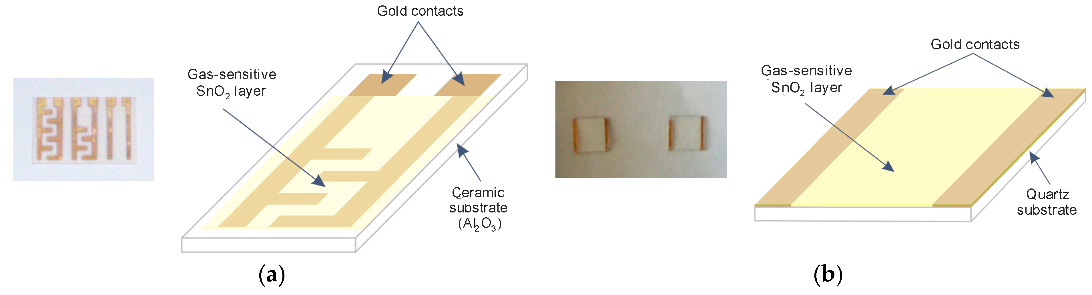 Sensors 21 05741 g001