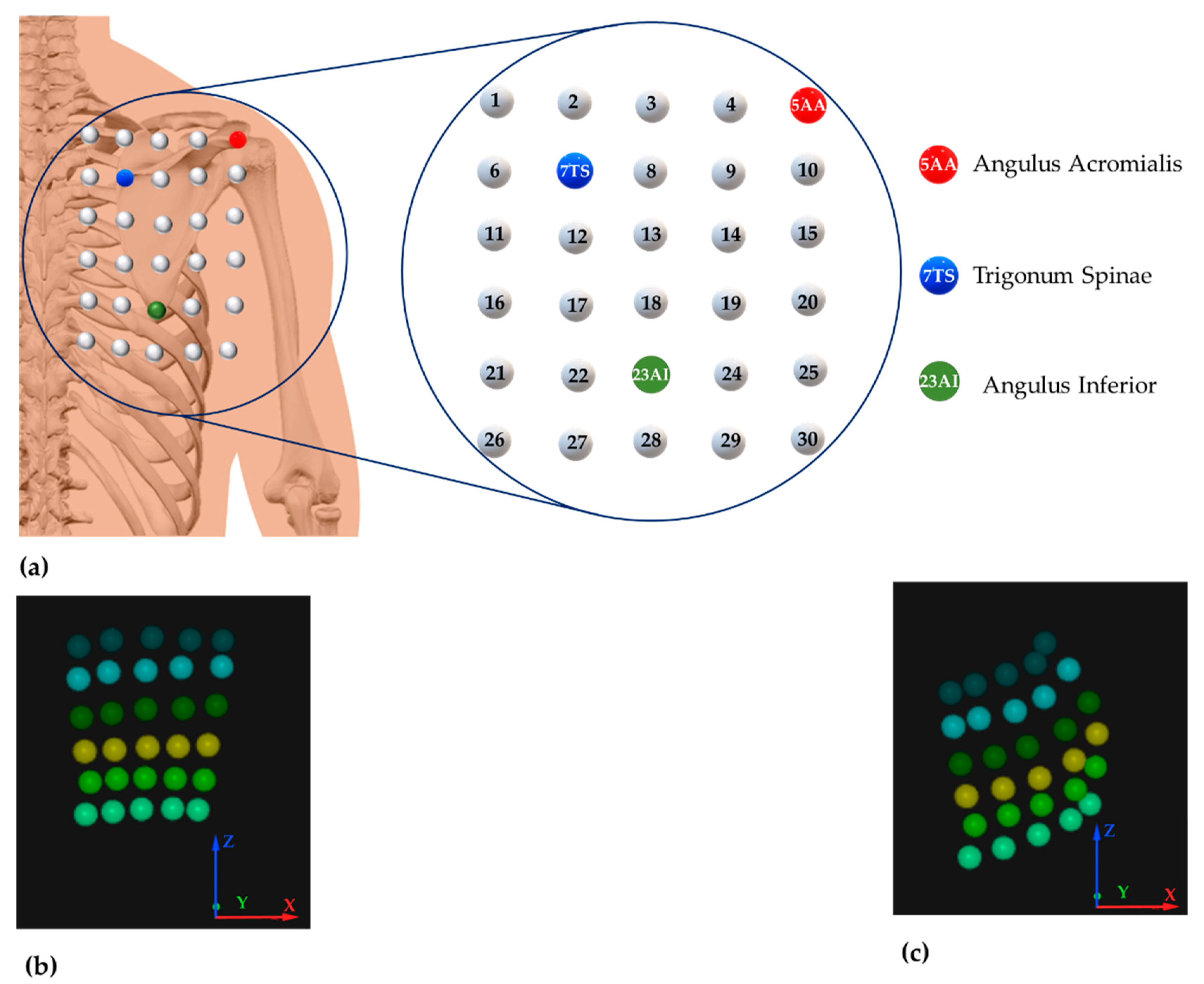 Sensors 21 05761 g003