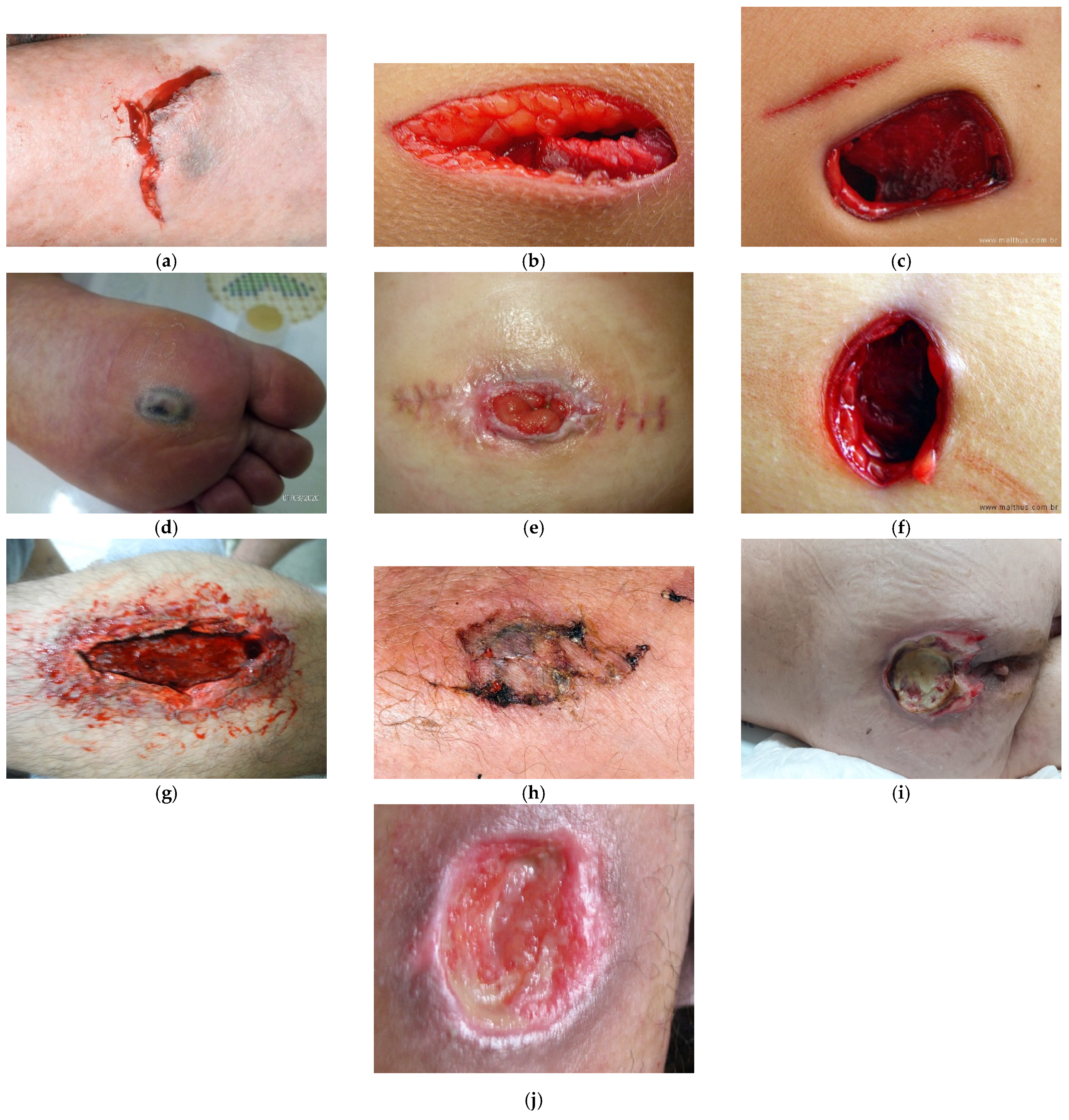 Sensors 21 05762 g001