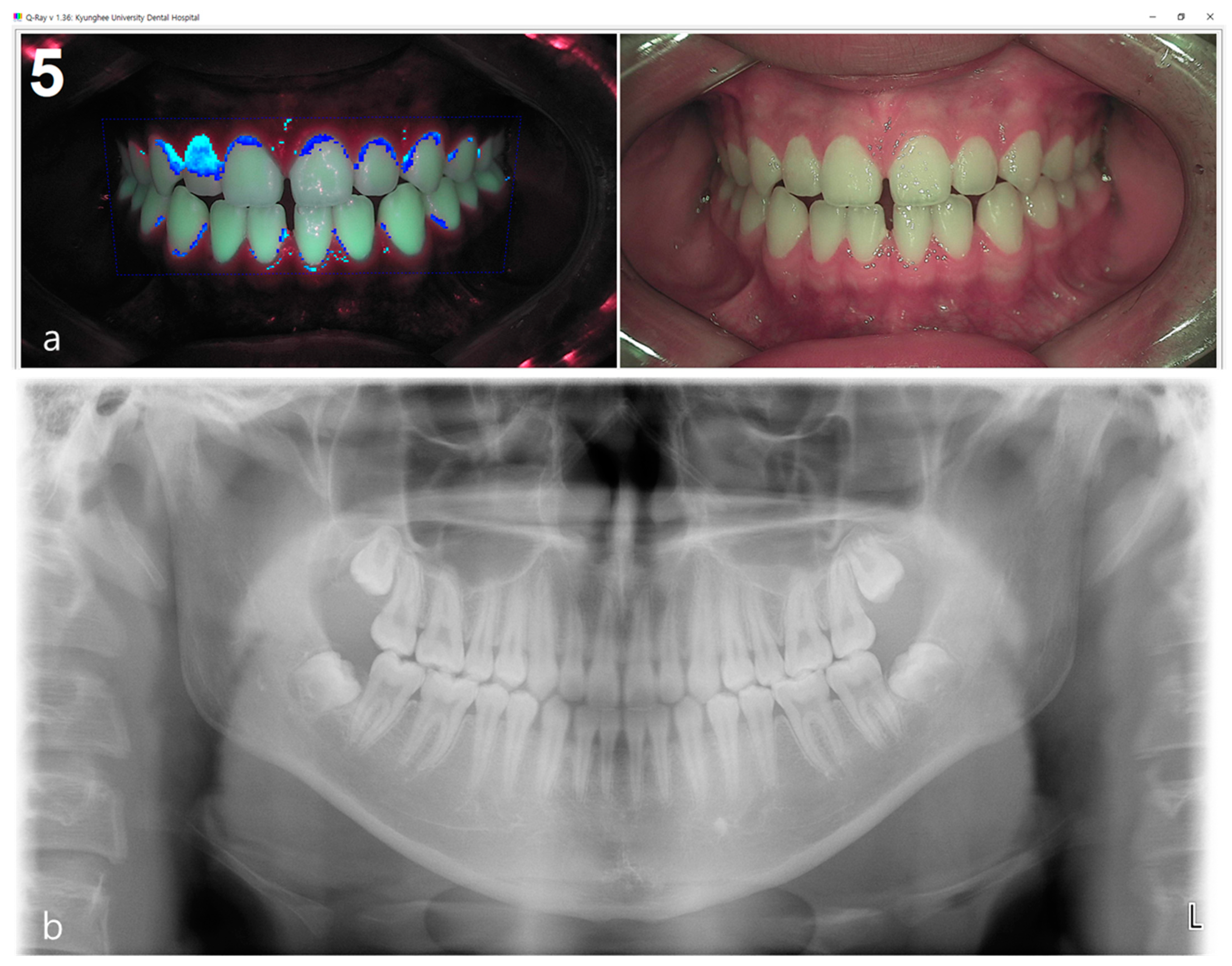 Sensors 21 05774 g001