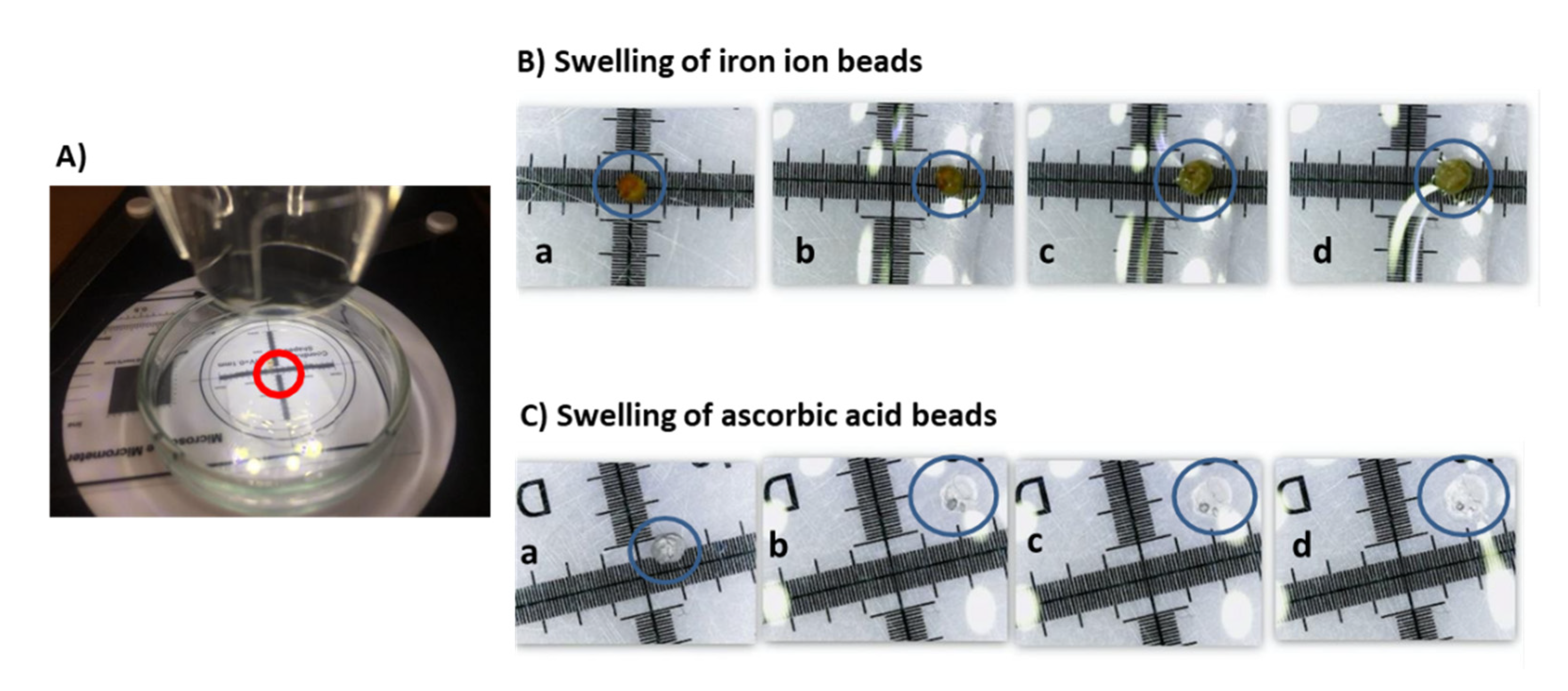 Sensors 21 05781 g002