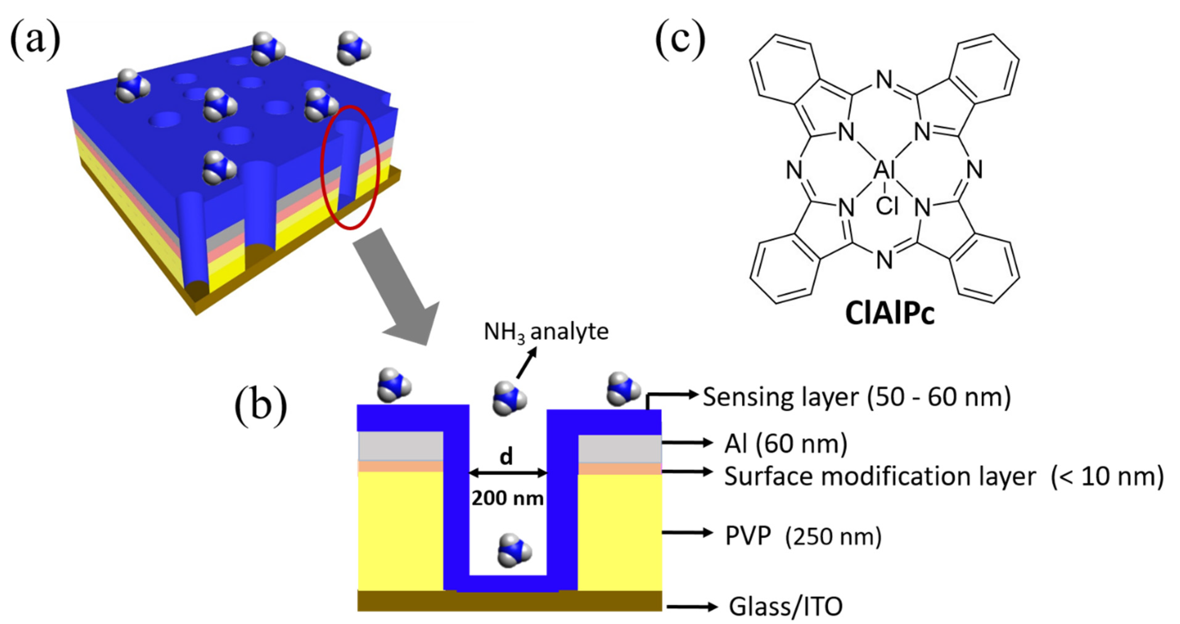 Sensors 21 05783 g001