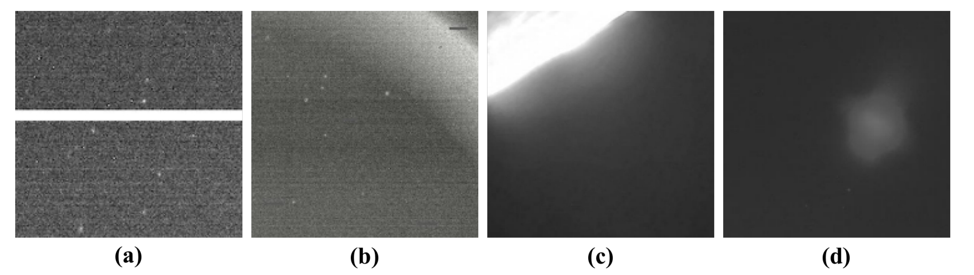Sensors 21 05786 g002 Sensors 21 05786 g002